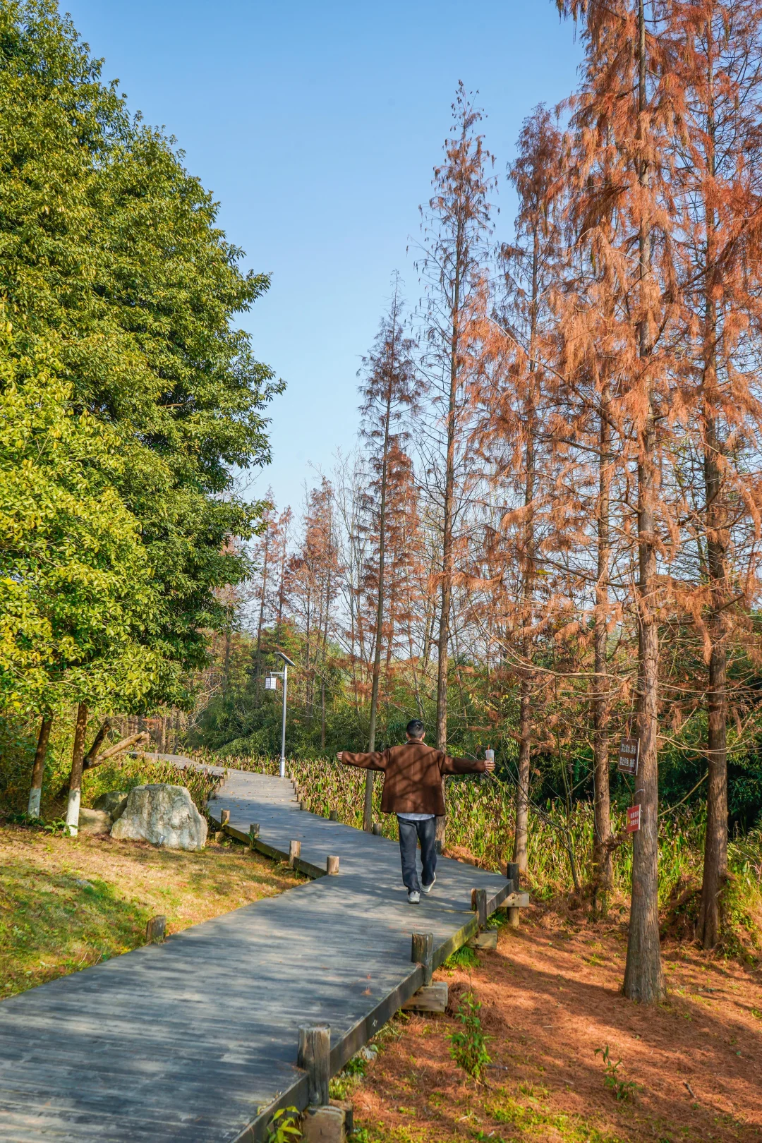 在成都周边，秋日可以去无数次的宝藏公园