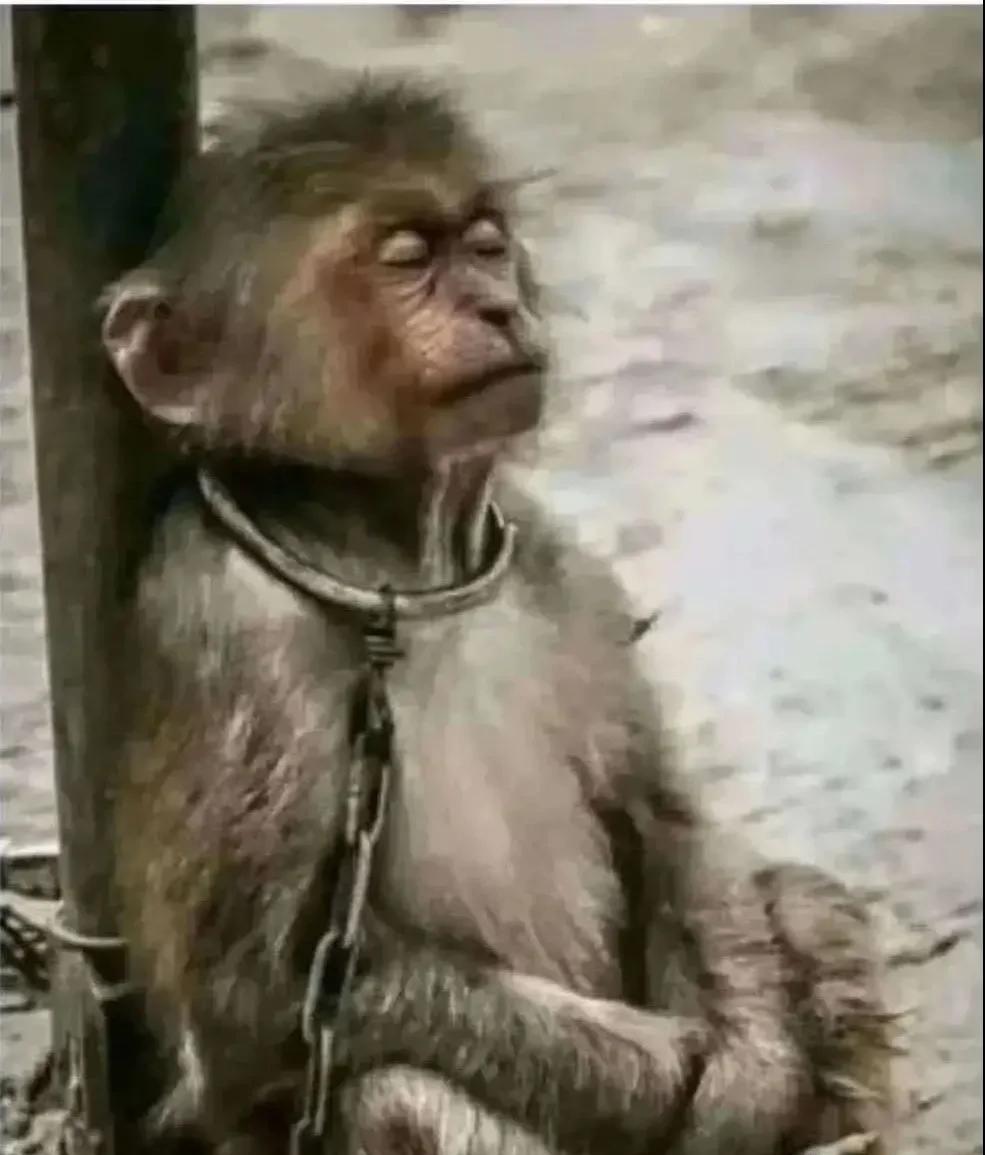 【你也许不知道，许多人挣扎在崩溃的边缘】
经济下行的浪潮里，太多人被裹挟着重压前