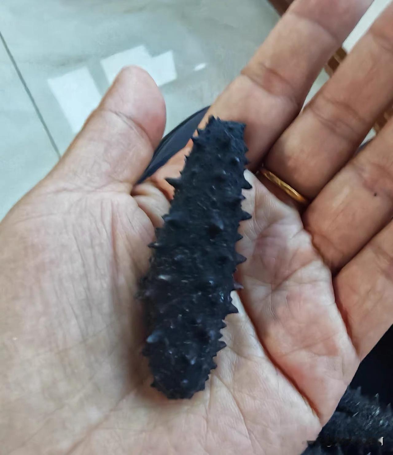 昨晚上我特不舒服，烧心的前胸后背牙也不舒服。
有位头条朋友加我微信问她的海参。