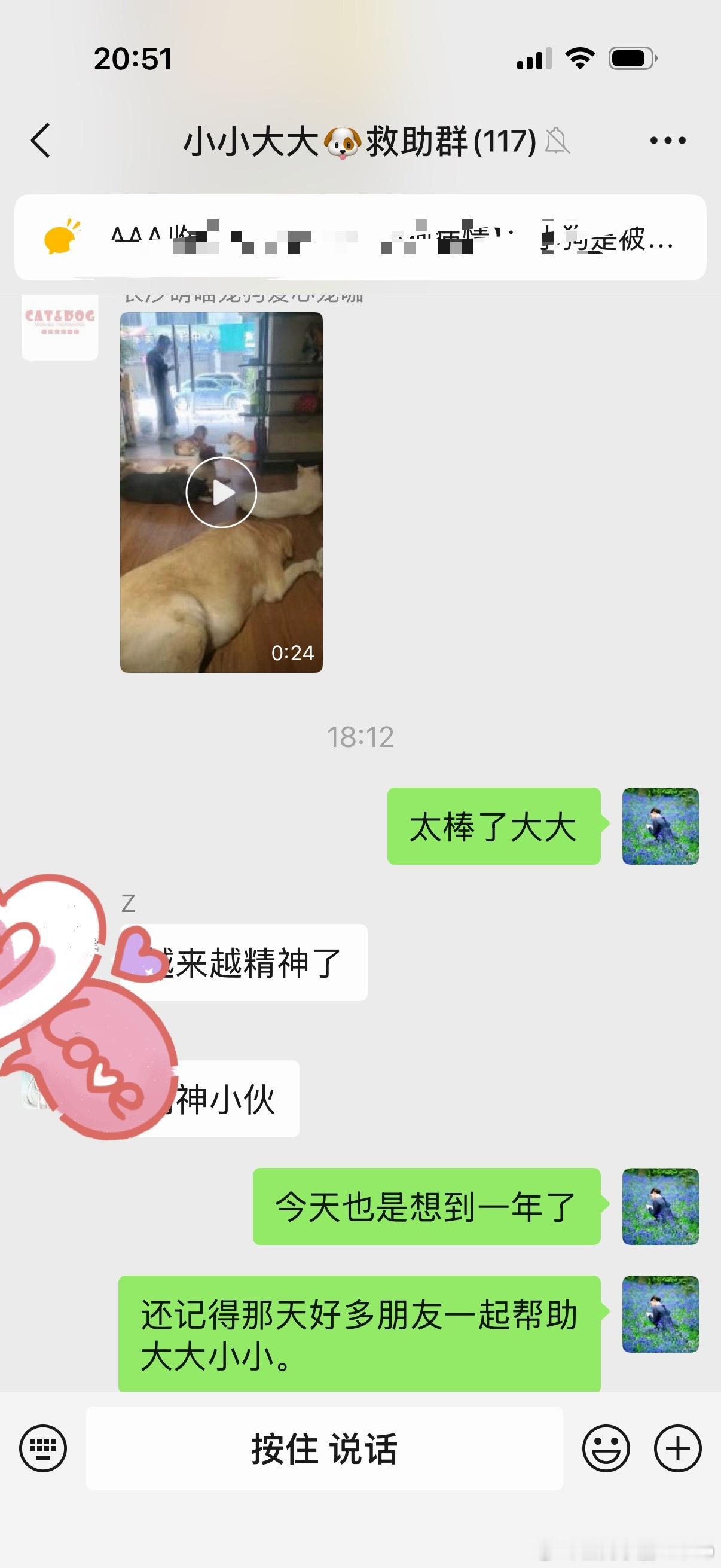 还记得去年的今日长沙街头救助的大大小小吗？时间好快一年了，告诉各位姨姨们大大现在