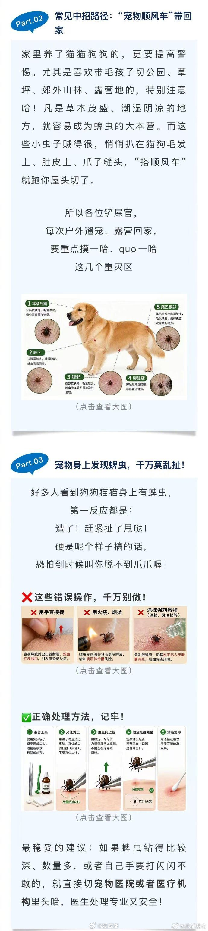【莫乱扯！成都疾控近期重要提醒】成都爱出门耍的朋友，逛公园、走绿道、郊外露营的时