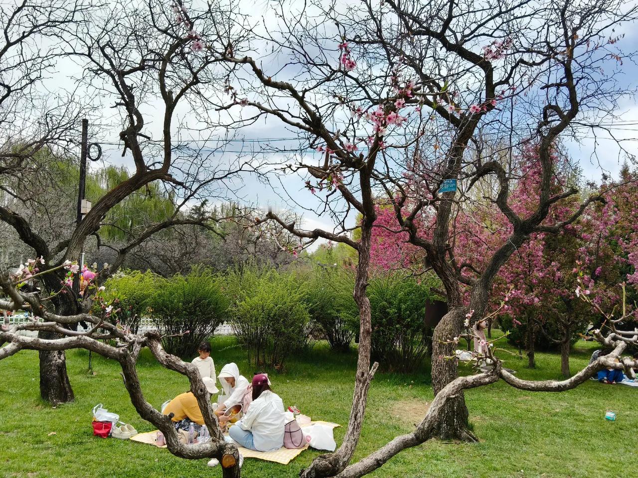 每次外出拍很多照片，只要拍过的照片都舍不得把它删掉，再把相册里的照片看了一下，最