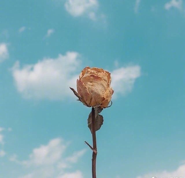 巧了，想要的都会得到 ​​​