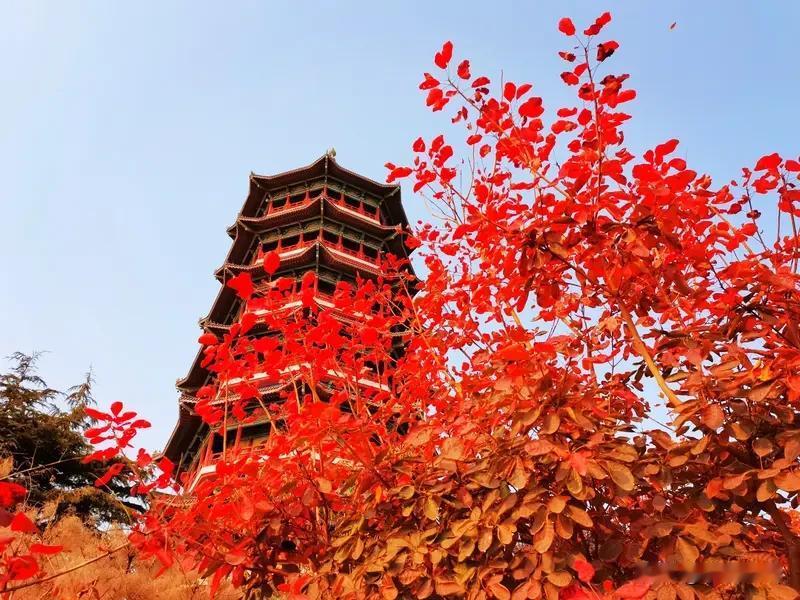 刷到这个对联上联的时候，盯着看了好久，丹枫迎秋山叠锦，七个字直接把秋山的氛围感拉