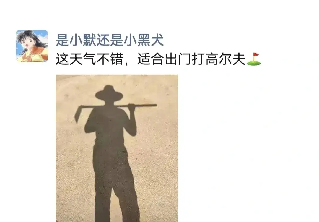<img src=