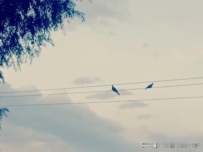 “相识，相知，相守一辈子”意思超浪漫。“相识”就是两人初次碰面，开始有了交集，像