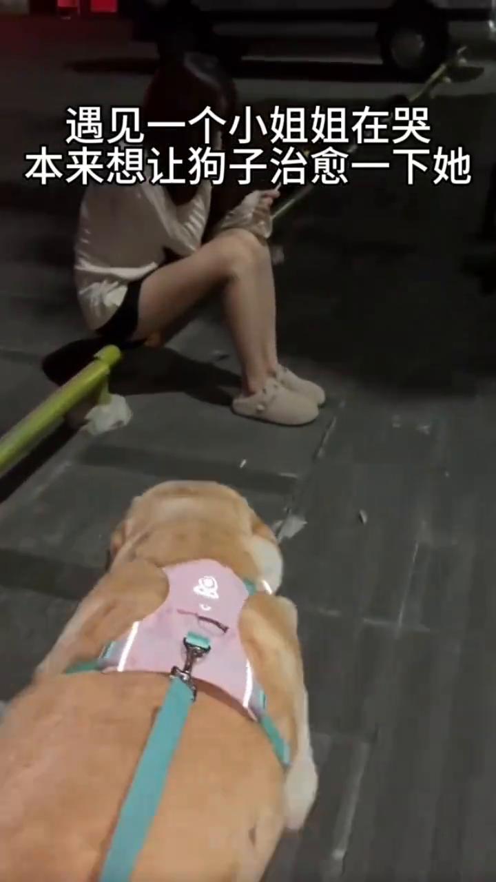 遇见一个小姐姐在哭，本来想让狗子治愈一下她。
要摸一下吗？快跑。