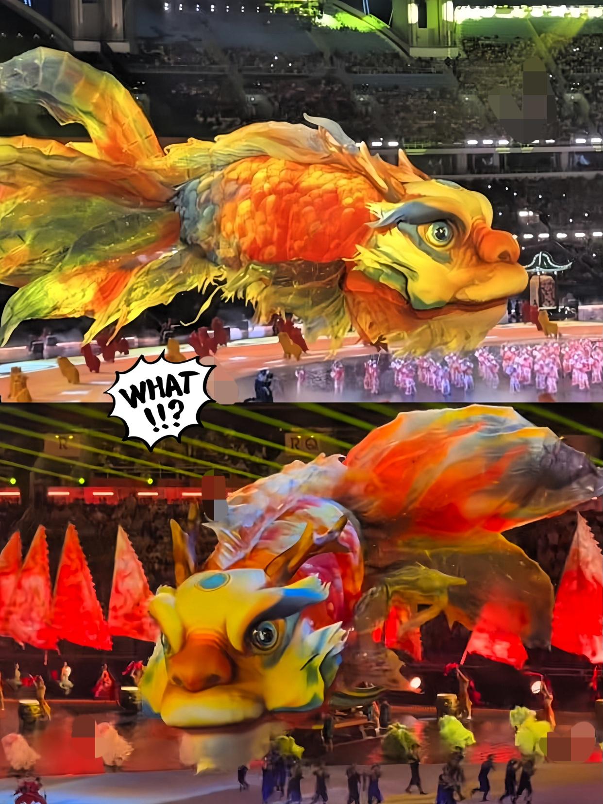 这下可有意思了，

据说国际奥委会主席都有别样想法啦！

我看十五运开幕式，就一