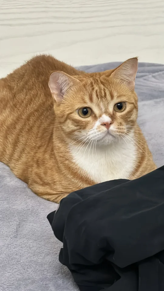 那个...我可以问那个问题吗