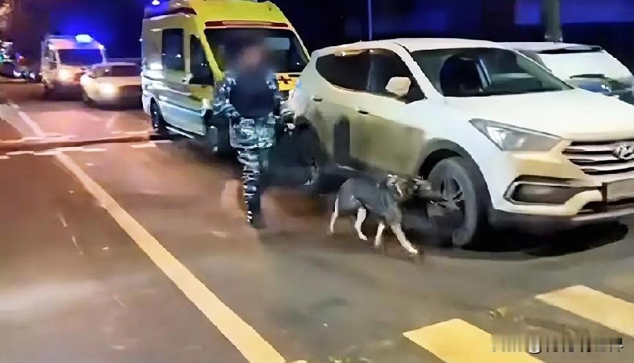 12月24日下午的最新消息，速报，全都不容错过，第七条： 莫斯科南部汽车爆炸致两