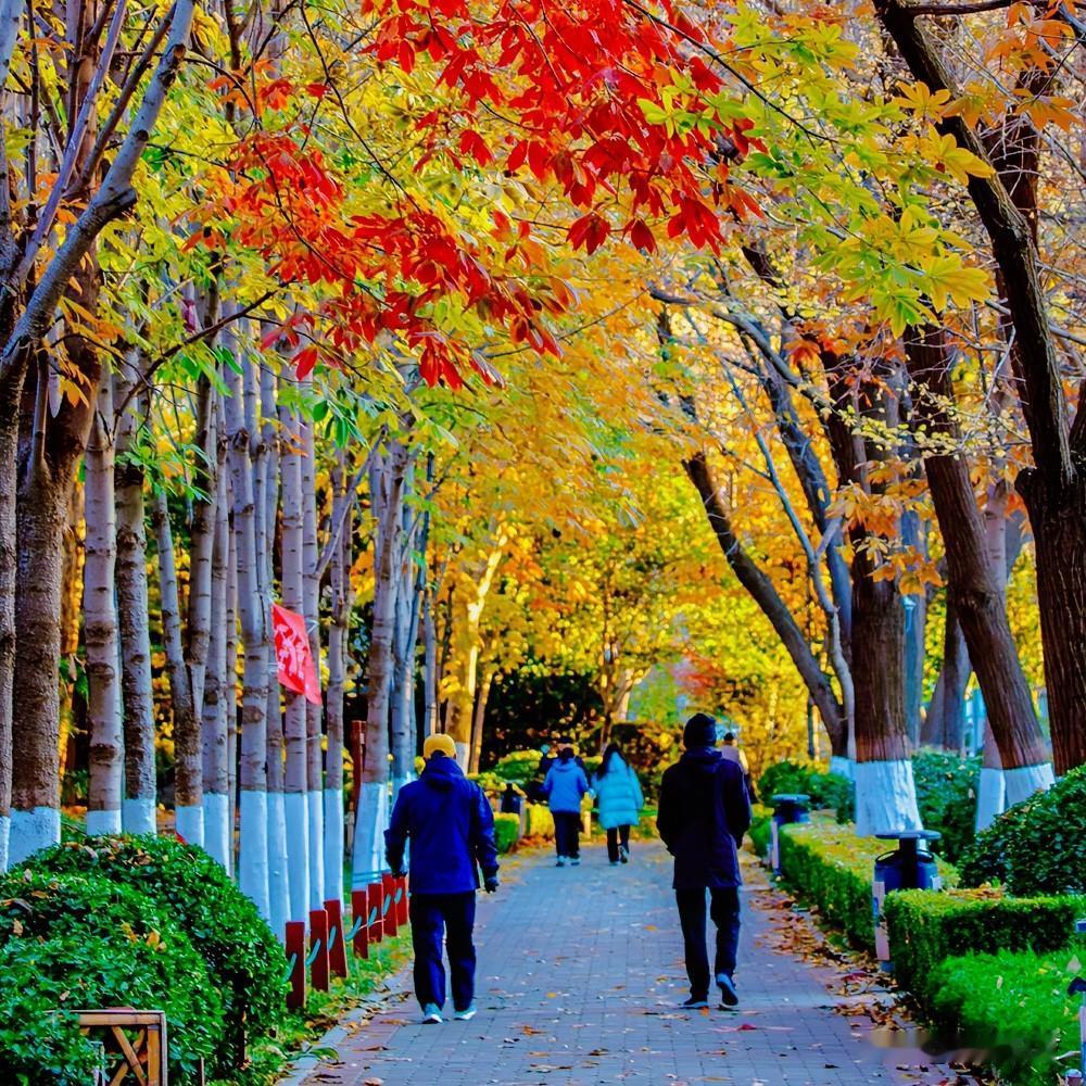 “我才不信流感疫苗，你忘了前几年疫情的疫苗了，打了不也是重度发烧吗？”

这是一