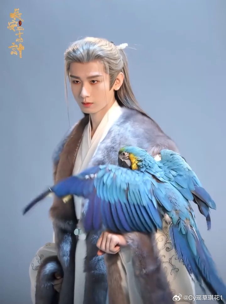 长安二十四计成毅长安二十四计cy成毅谢淮安演员成毅的赤子之心毋庸置疑，那是十几年