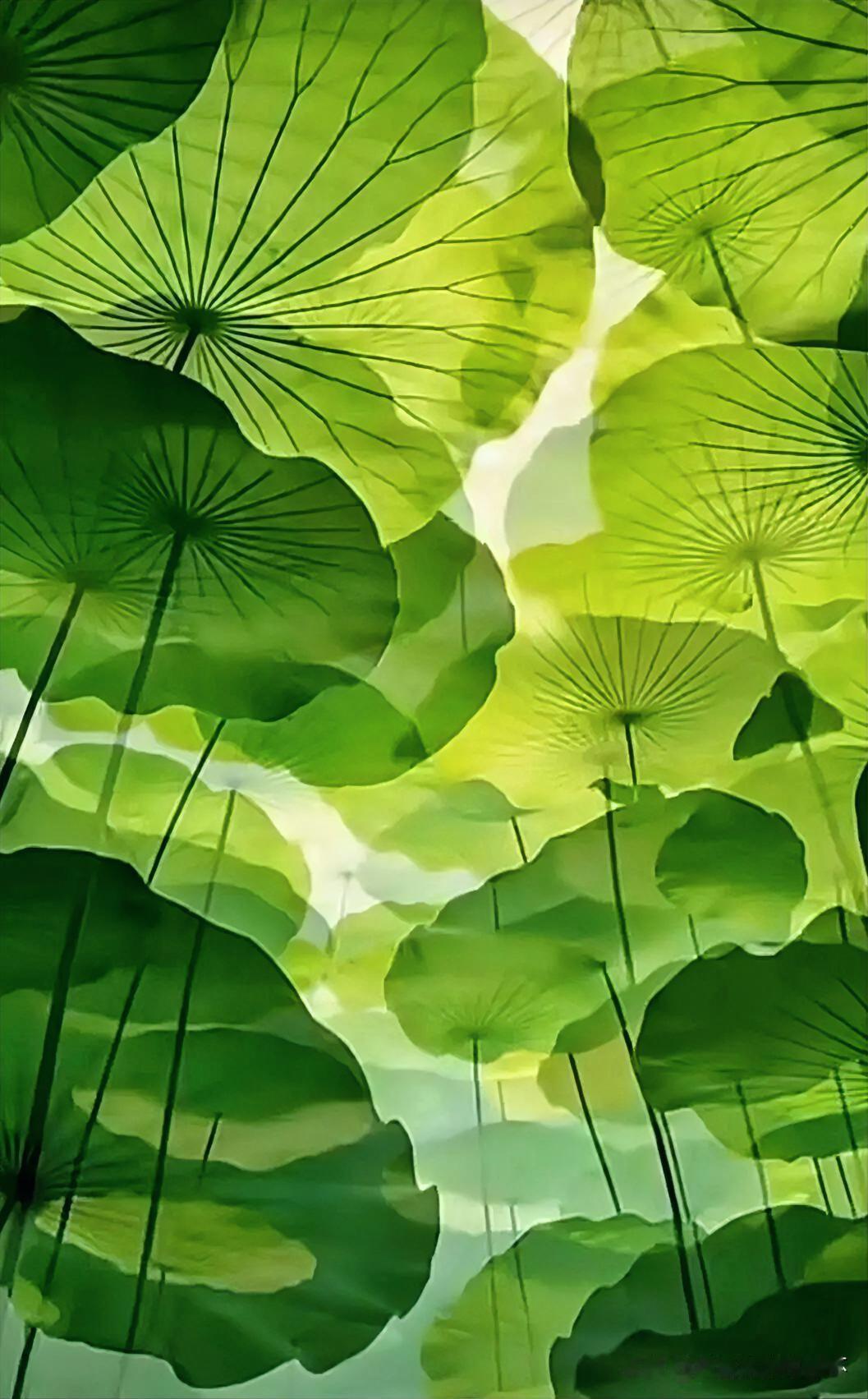 下联：亭台四面响蛙声
上联：有请雅士[玫瑰][玫瑰][玫瑰]
