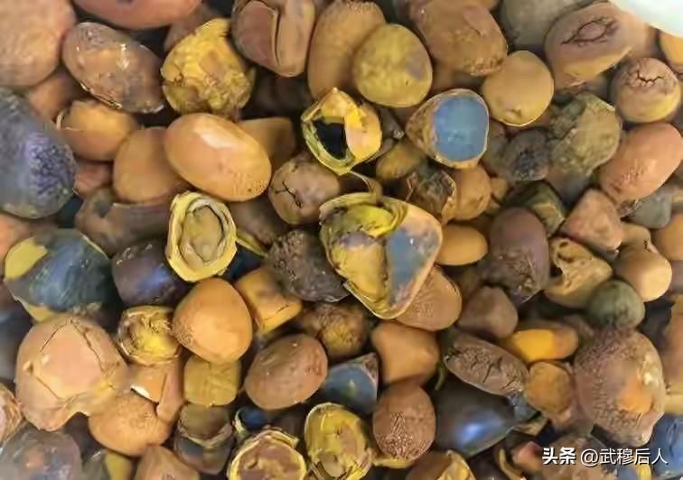 提到贵，很多人第一反应就是黄金。
可有一种东西，1公斤能卖到165万元，一克算下