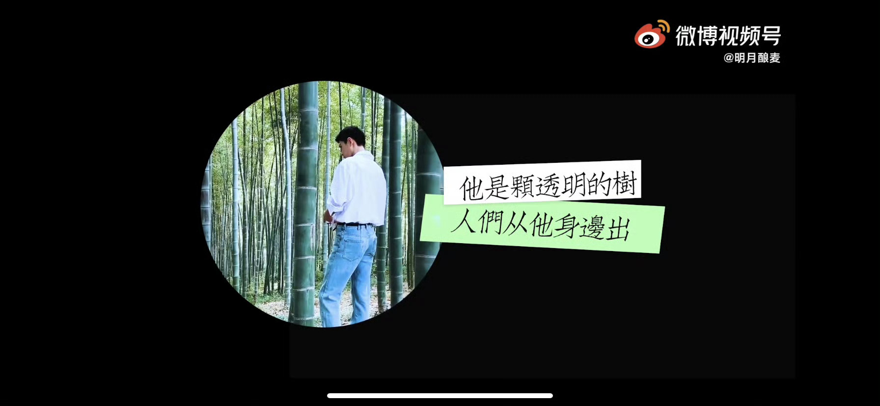 【他是棵透明的树】你对他的百般注解构不成万分之一的他，确是一览无余的你自己『光年
