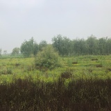 郑二热看娱乐