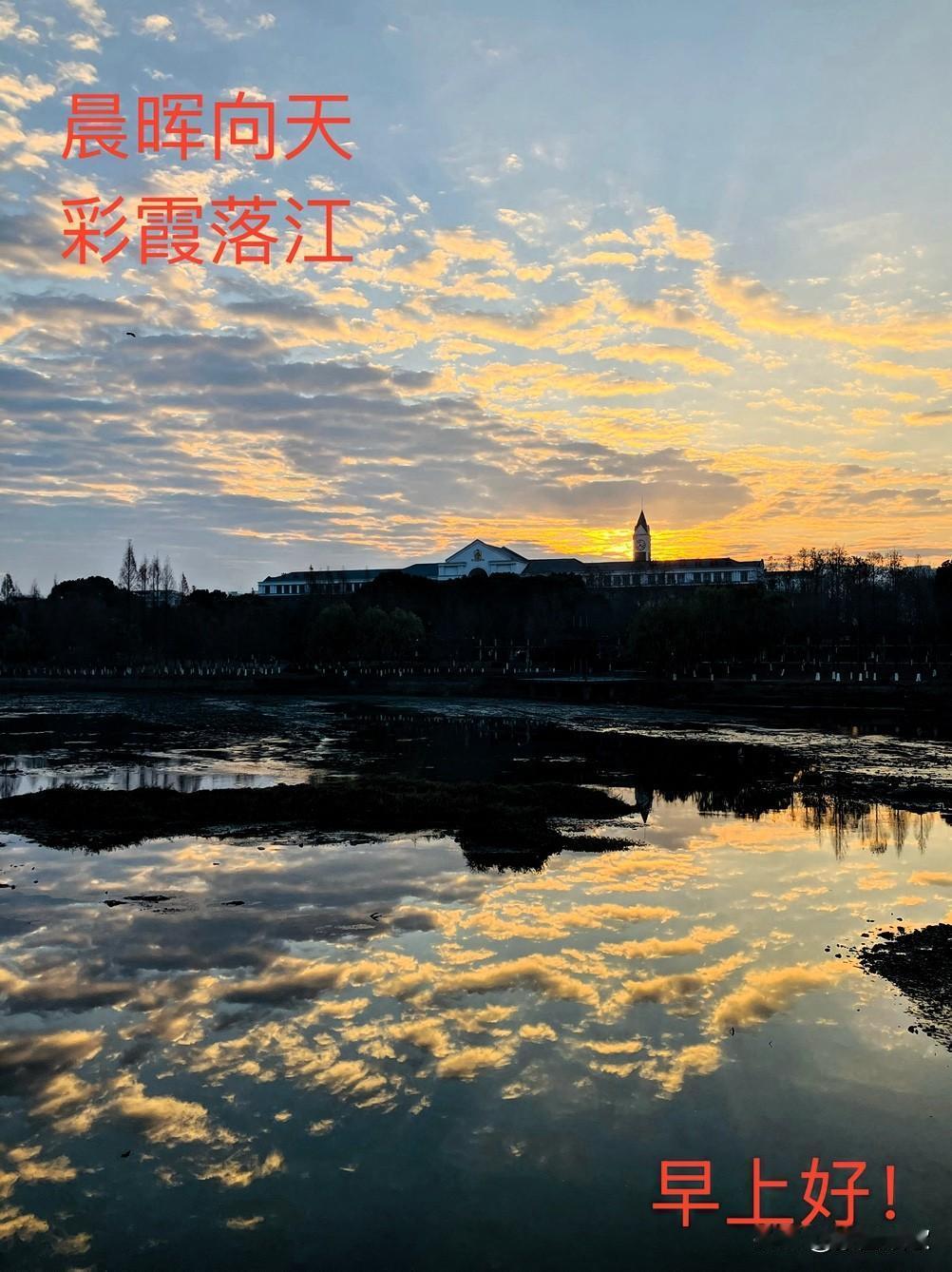 分享一张最近随手拍的照片