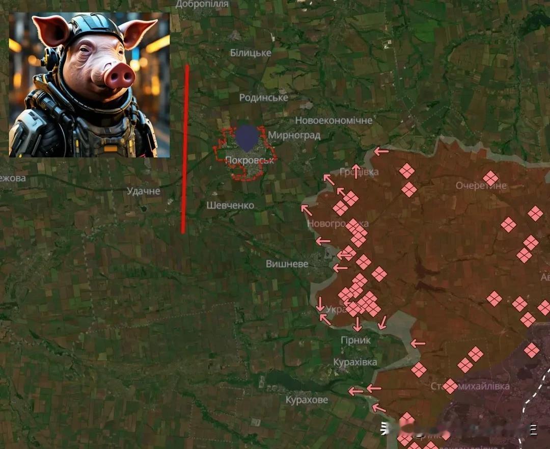 🇺🇦 乌武装部队今天紧急开始在波克罗夫斯克后面建立防御工事第聂伯罗彼得罗夫州