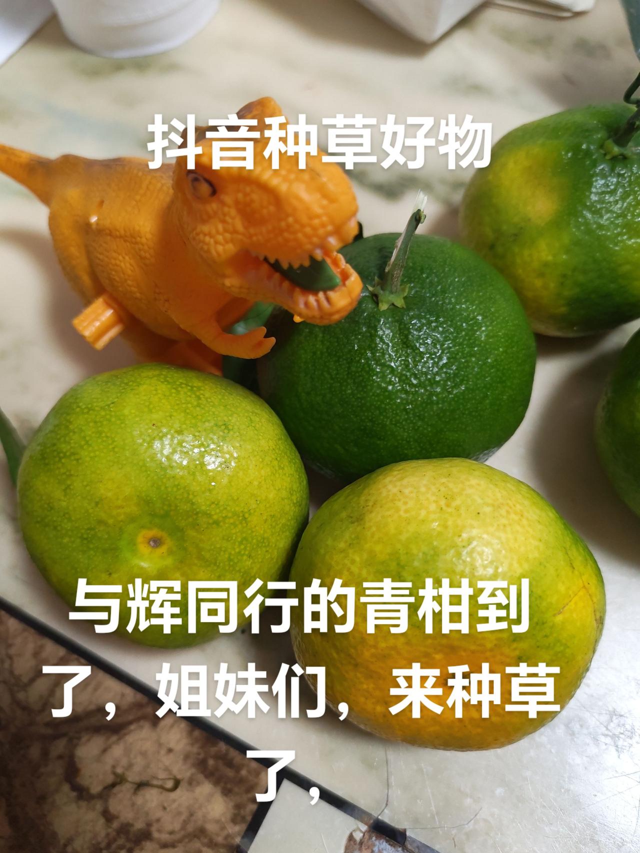 好吃的东西就得推荐，不管三七二十一，你坚持每天发，种草好物，抖爸爸应该会看得到，