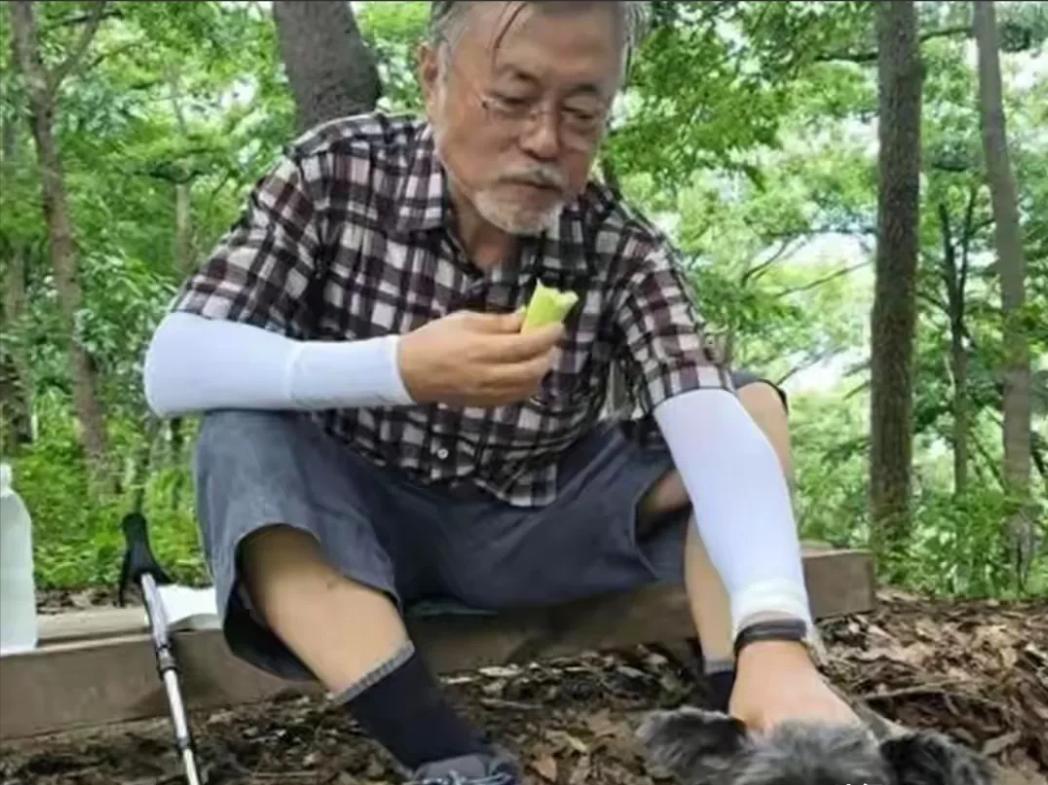 韩国历届总统估计最羡慕的就是文在寅了，细数这些总统里面，不是被抓进监狱，就是被暗