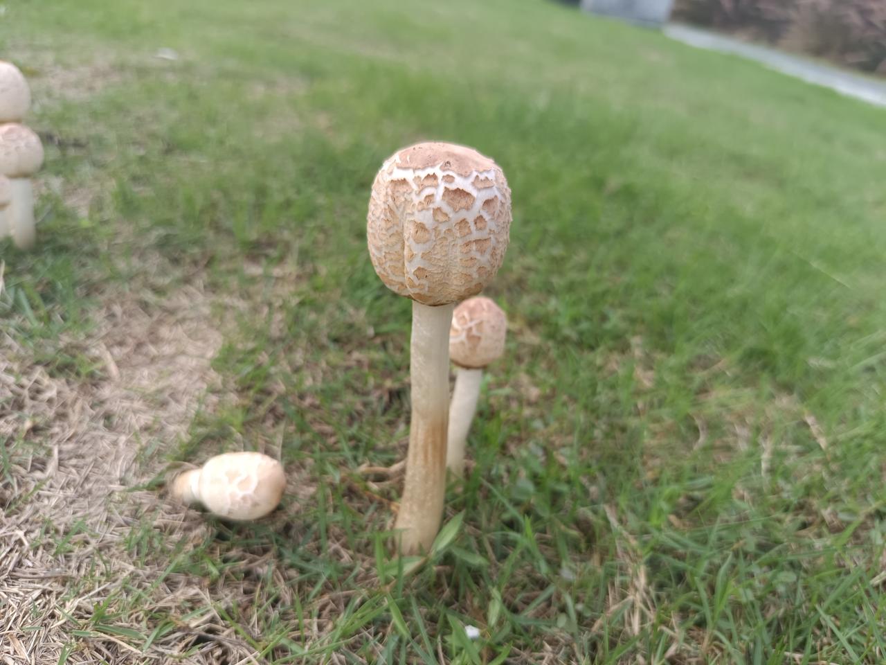 我在石嘴街市场
发现了一个很严重的问题
但不知道怎么说才好





你敢相信吗
