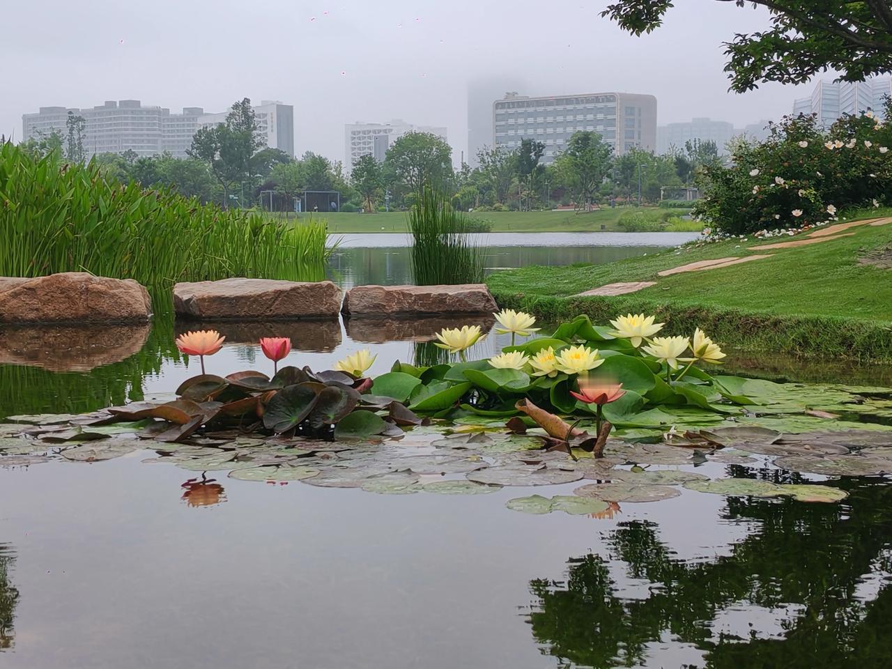 读博不好读，考公不好考，
综合考虑，学会面对压力，
应承时运无常

儿子，很久没