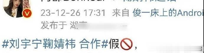 网传鞠婧祎将与刘宇宁合作新剧《嫡长女她又美又飒》，是真的吗？

12月26日，有
