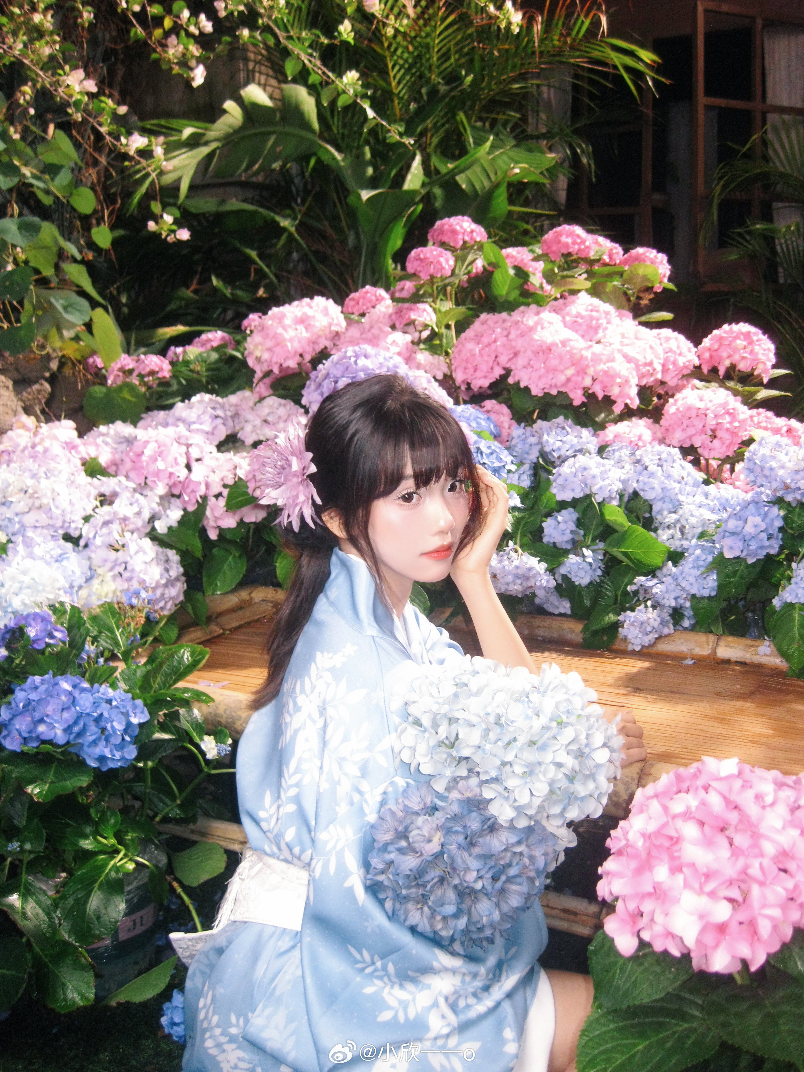 更新什么好呢 这周有点被淋雨淋麻了…… 