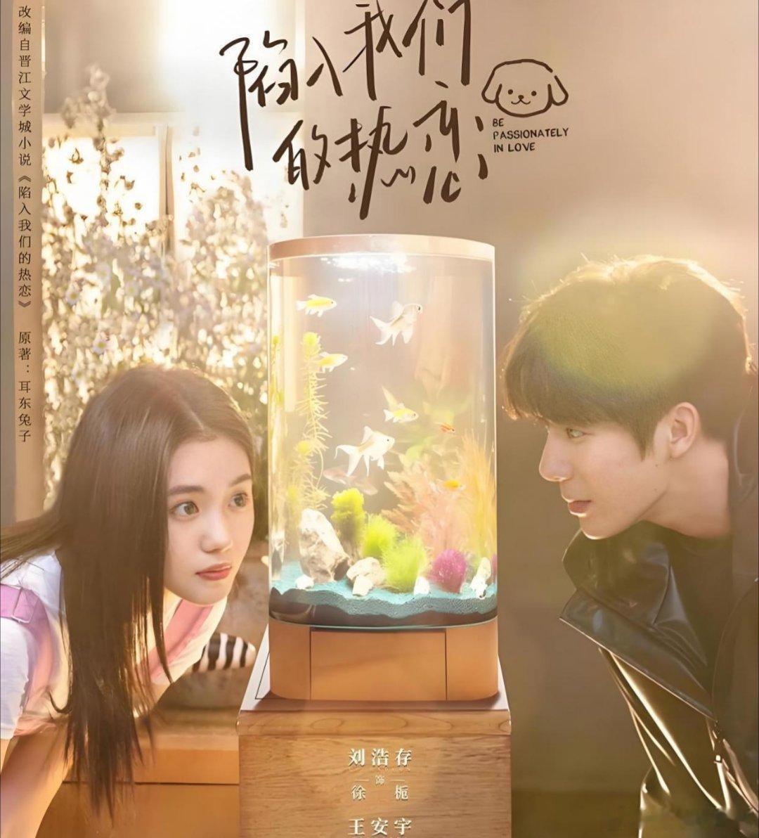 6部双向奔赴的甜蜜爱情剧，你看过吗？第一部刘浩存、王安宇主演的《陷入我们的热恋》