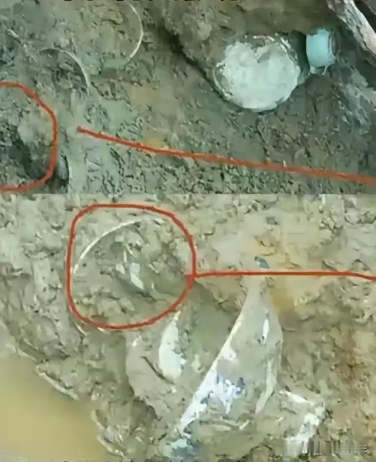 这些事连起来看就明白了。
河南的的三支一扶已经查清了，是有组织的规模性团伙犯罪行