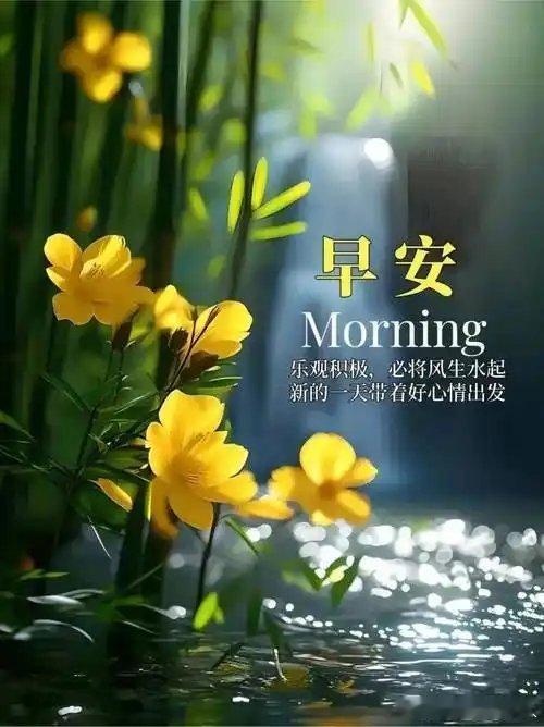 5.31 周日早安☀️周末静心休整，梳理盘面主线、沉淀交易思路，养足精神静待新周