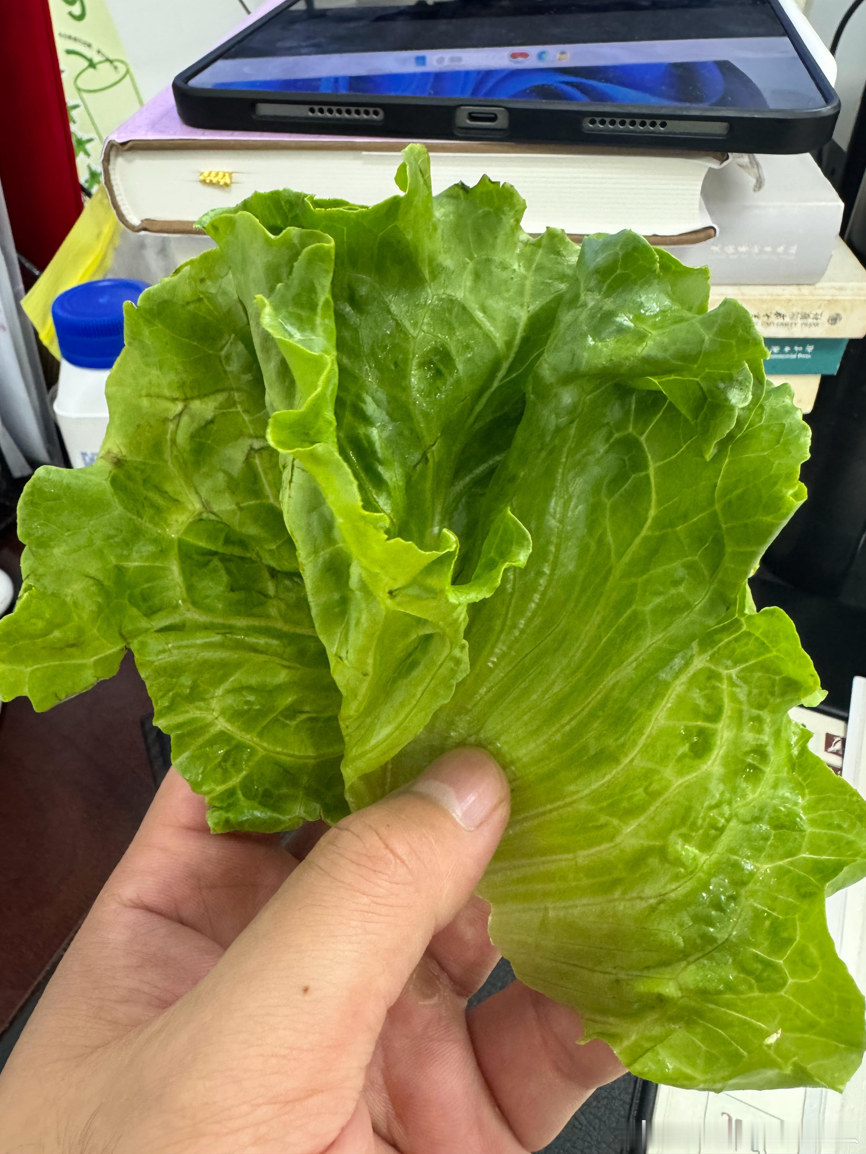 我在认真的减肥[你好] ​​​