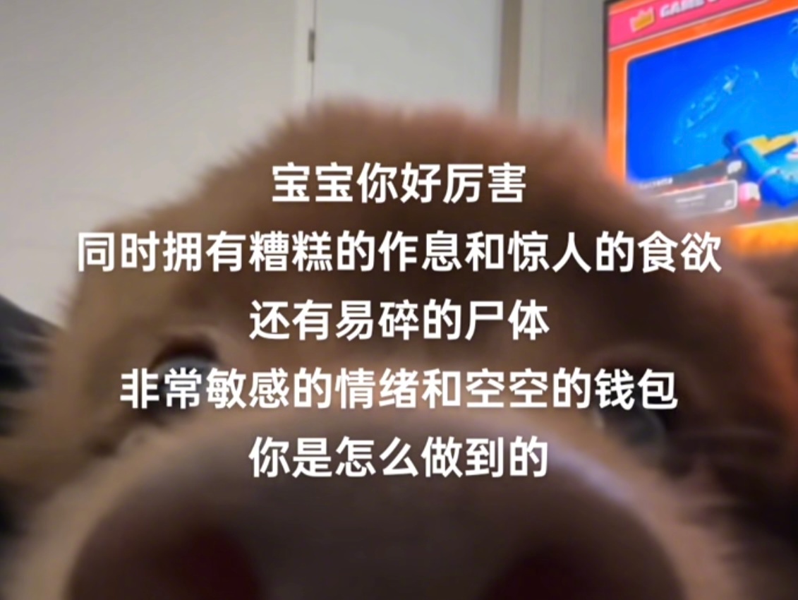 宝宝你好厉害 ​​​