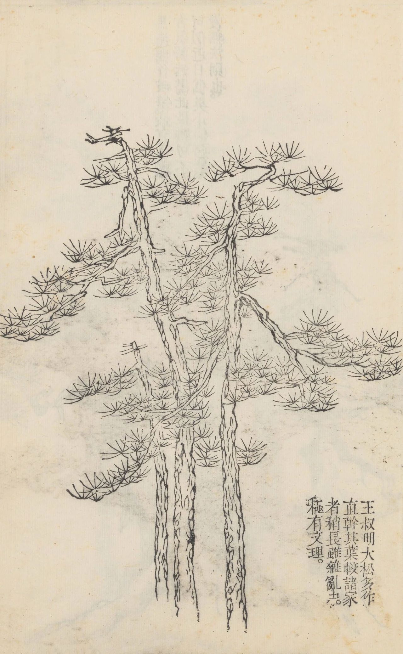 【芥子园】（四） 国画雅集[超话]  