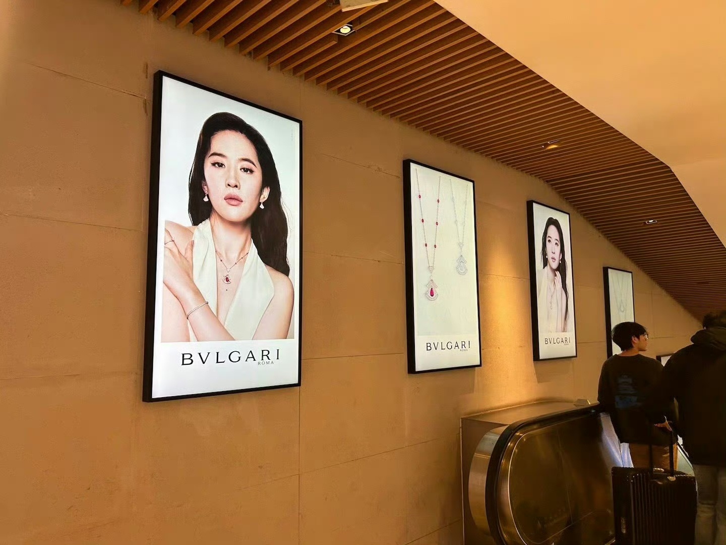 第一次拍宝格丽广告，刘亦菲就已经戴上宝格丽高珠入门款了，高珠入门款&基础款广告，