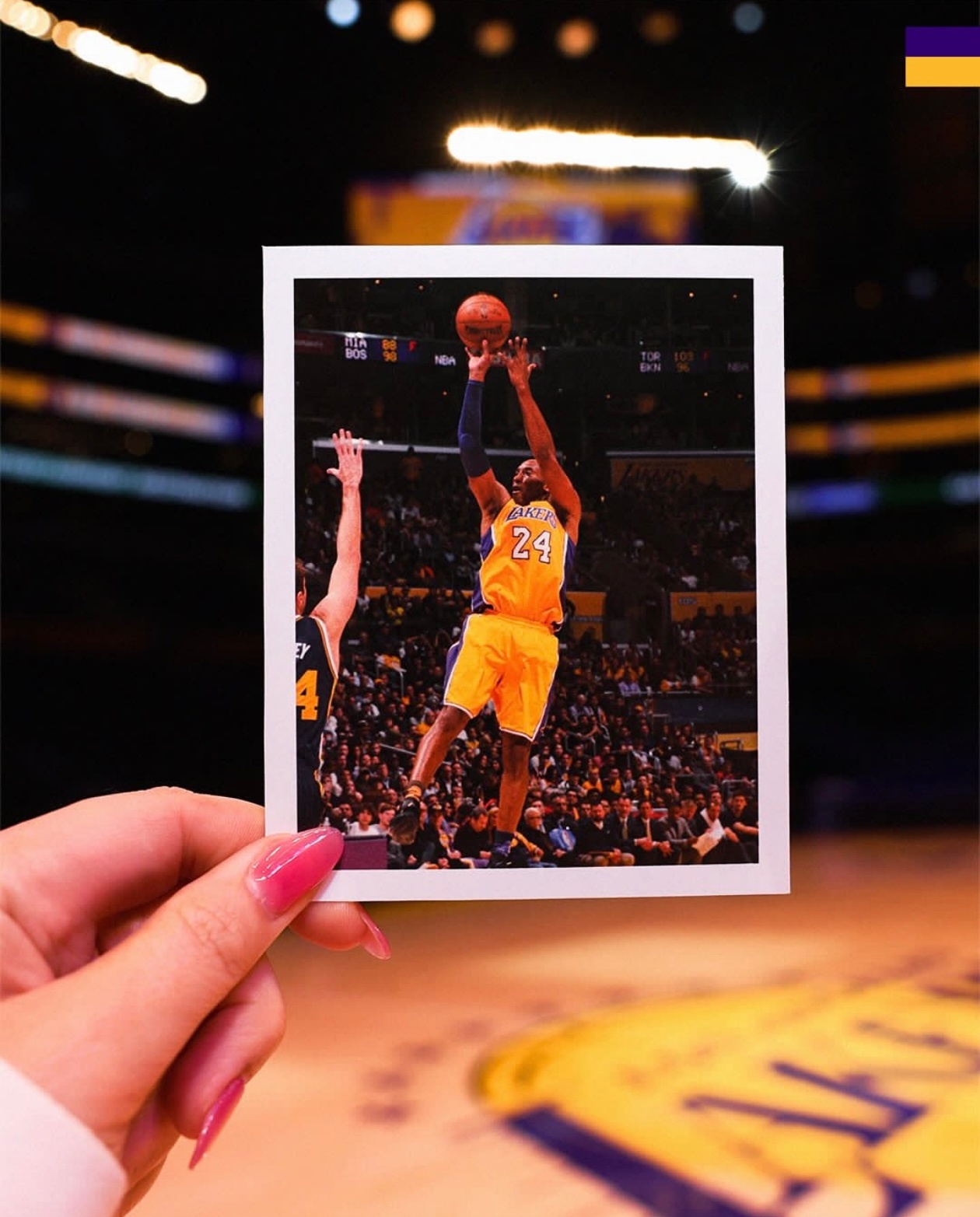 篮天下  十年前，“Mamba out”🐍💜💛Images via lak