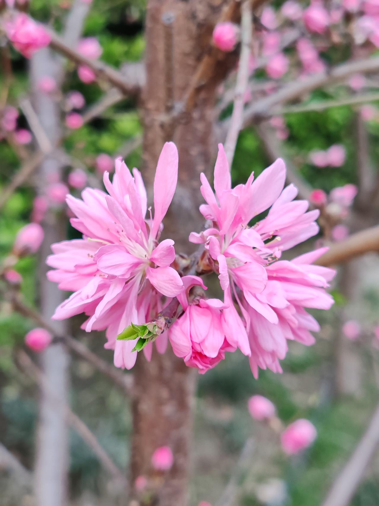 身体健康很重要，不用脱光暴露身体，要记得穿好衣物，小心着凉生病呀。