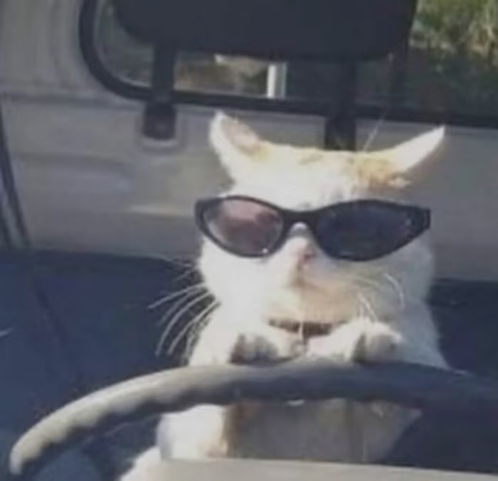 近9成网友对辅助驾驶存焦虑超7成网友开车有续航焦虑还是新能源汽车老生常谈的两大痛