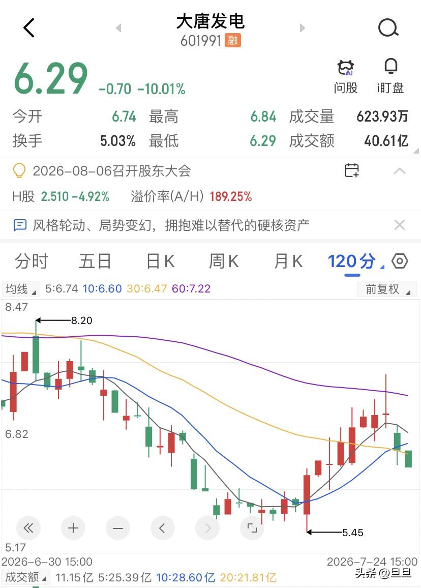 风险不在电价！大唐发电，下午两点十四分，死死钉在跌停板6.29,成交额干到了40