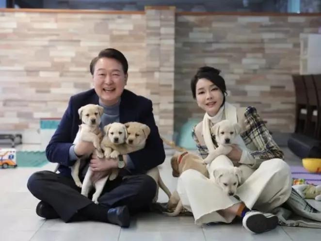韩国人推进立法全面禁止食用狗肉，其影响是深远的，可能彻底改善西方人对其的负面观感
