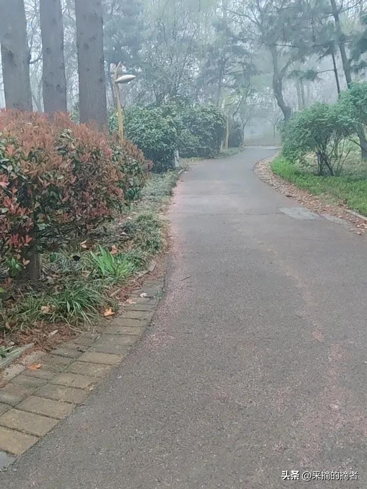 早上雾蒙蒙的，在公园跑步，空气凉飕飕的，心里那点小心思，也跟这雾一样藏不住。