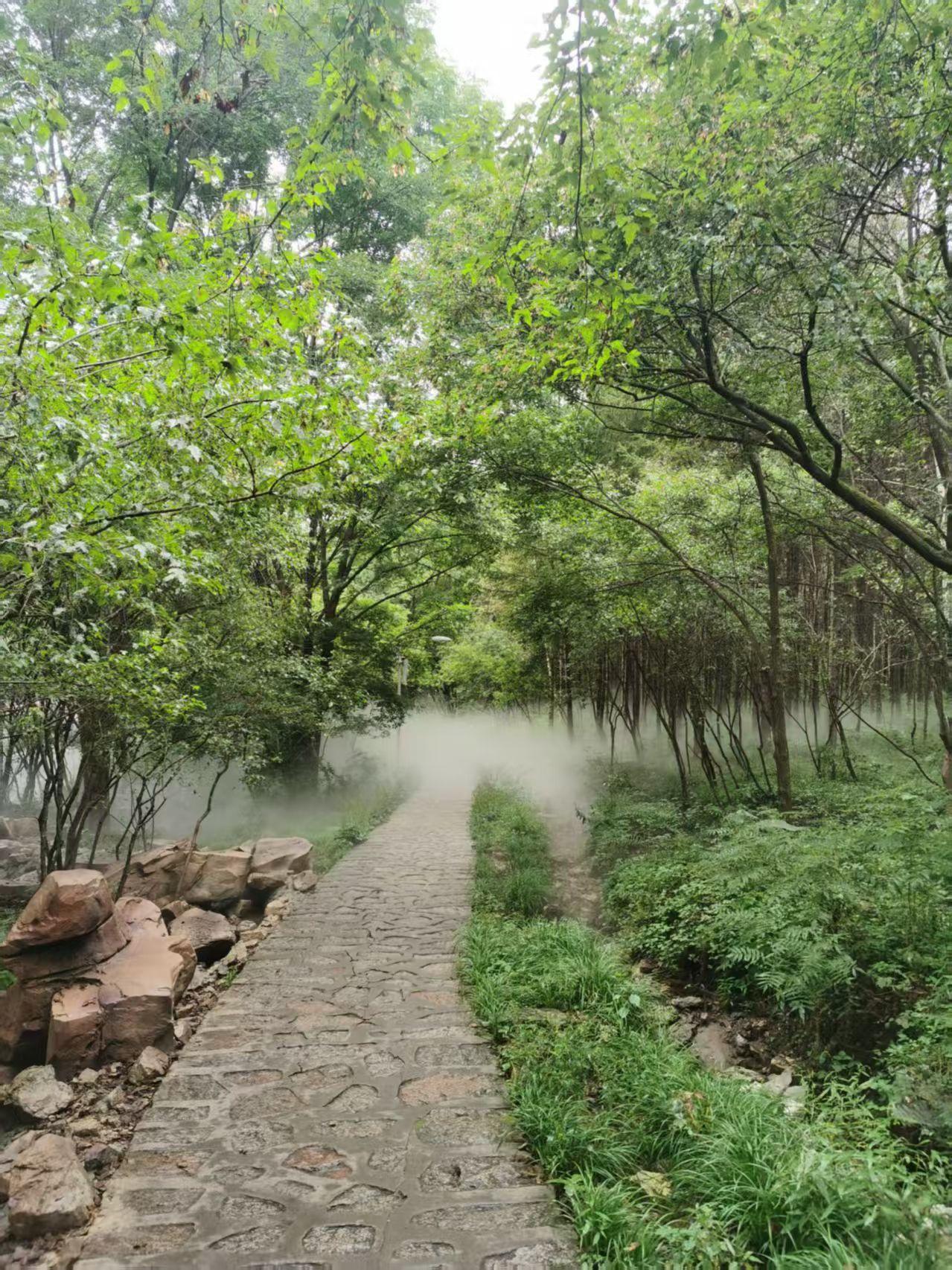 哈尔滨推荐景点哈尔滨的帽儿山是一个非常值得一去的地方，尤其适合周末或短途旅行。它