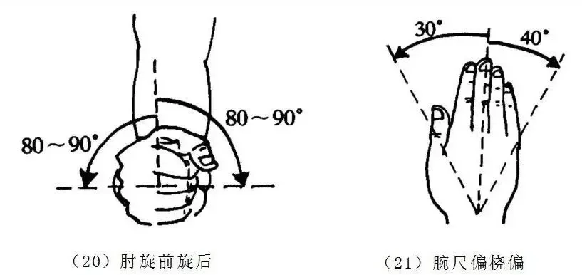 关节活动测量图解分享！！！