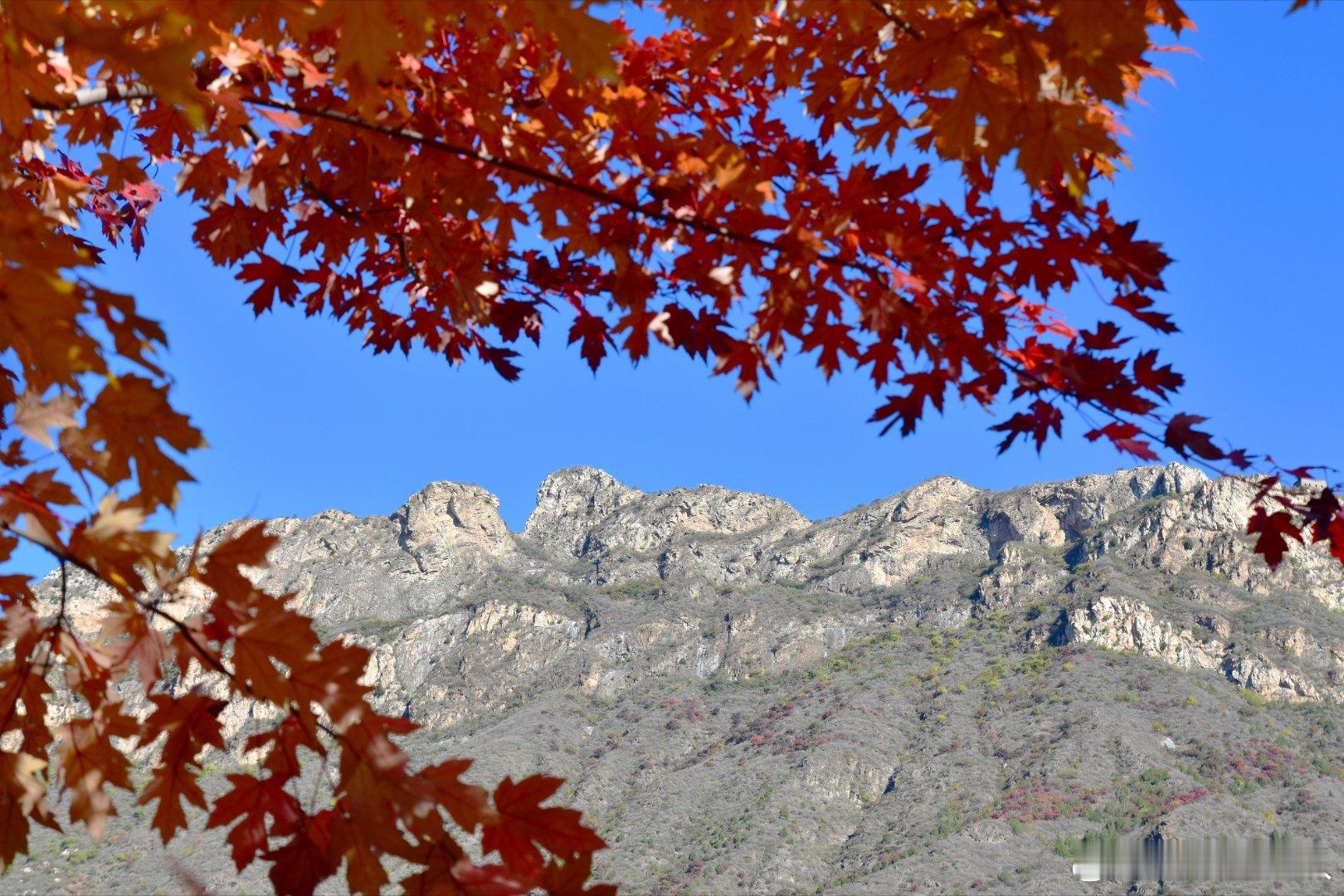 雄壮的古北口卧虎山长城。北京秋景如画摄影​​​