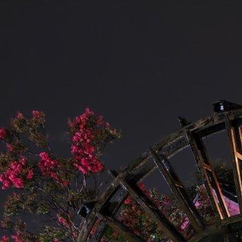 每日一善🌥阳光信用 希望是暗夜里的灯，照亮未知的征途，给予我们迈出每一步的勇气