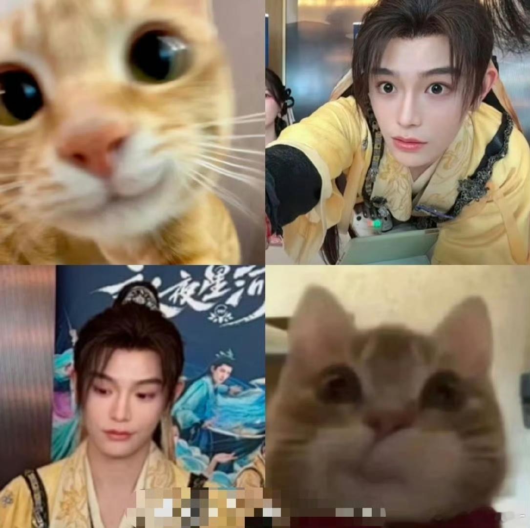 丁禹兮猫塑  丁禹兮的猫塑形象不仅让人印象深刻，更在无形中传递着一种积极向上的力