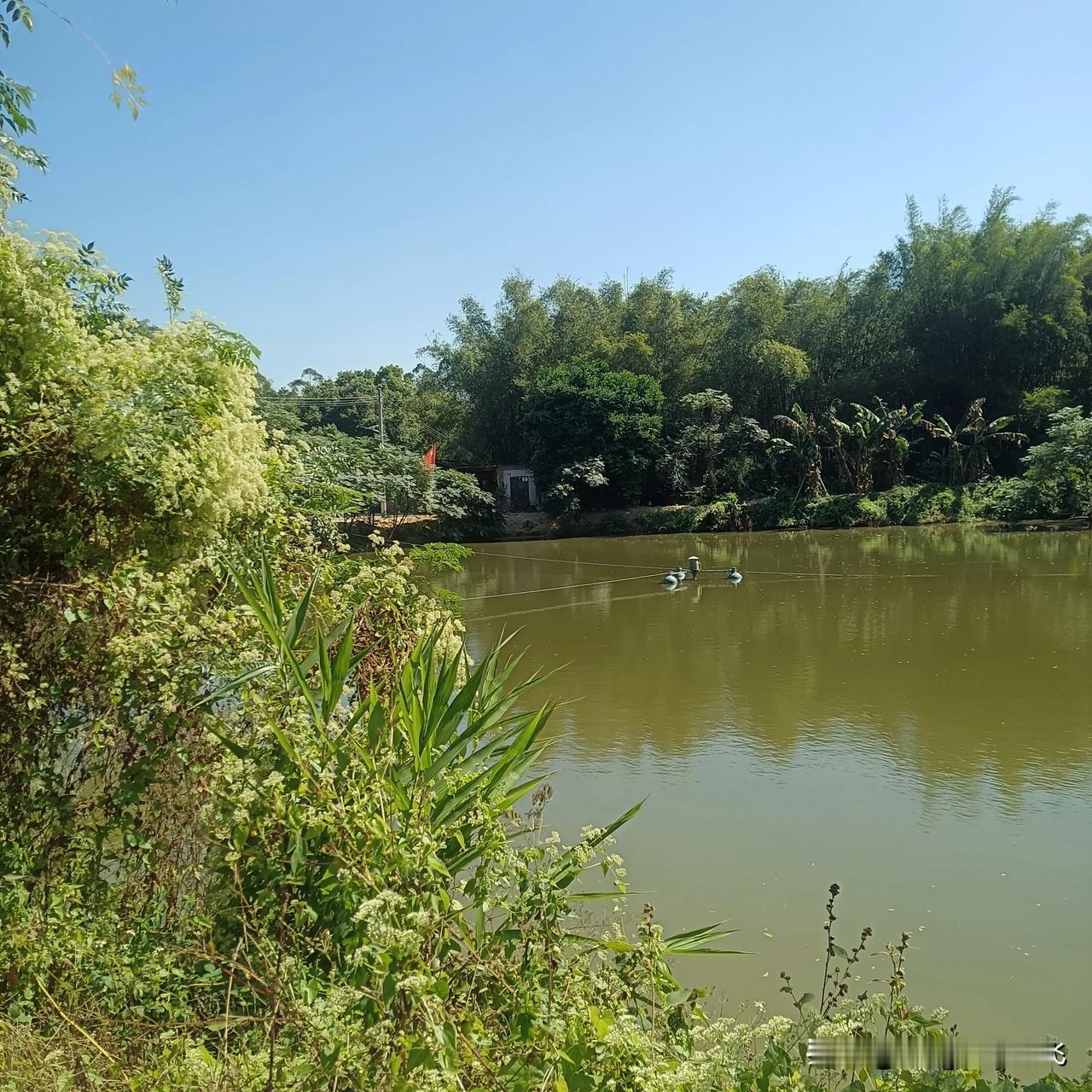一分耕耘，一分收获，你的努力不会白费的。
分享我的今日感悟 
冬日生活打卡季 