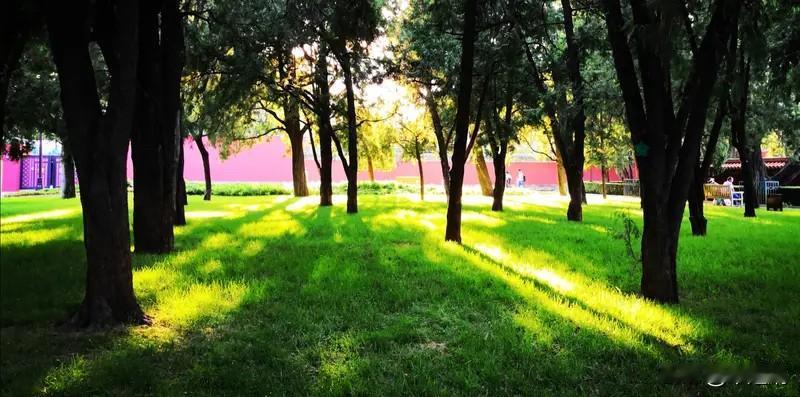 真正有智慧的人，往往有这几种样子。他们不再指望别人，年轻时总盼人帮忙，后来明白靠