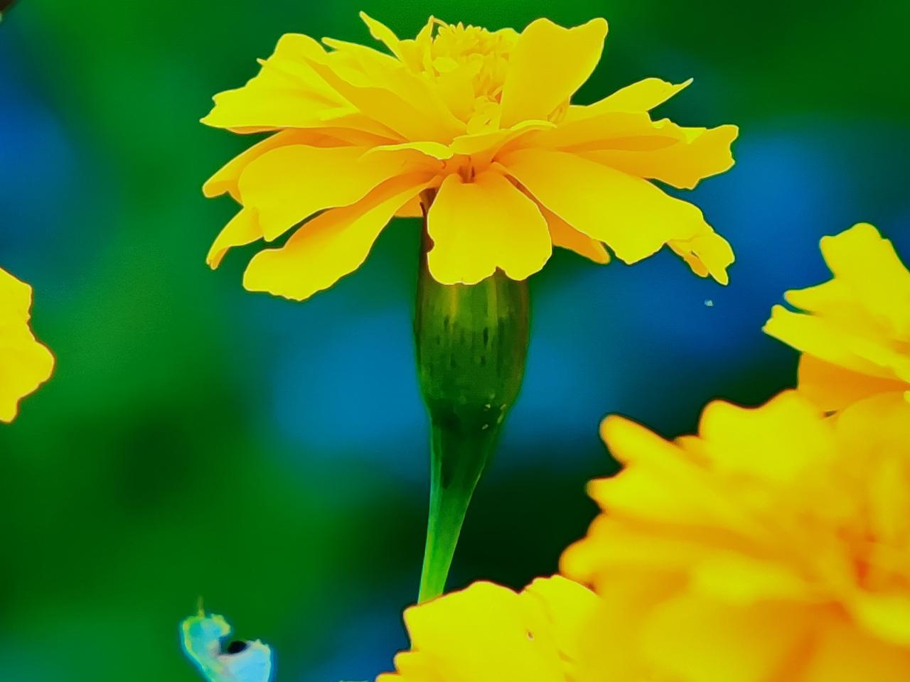 其实，健康与否，旁人无从知晓，唯有自己心知肚明。一旦生病，即便再规律的生活方式也