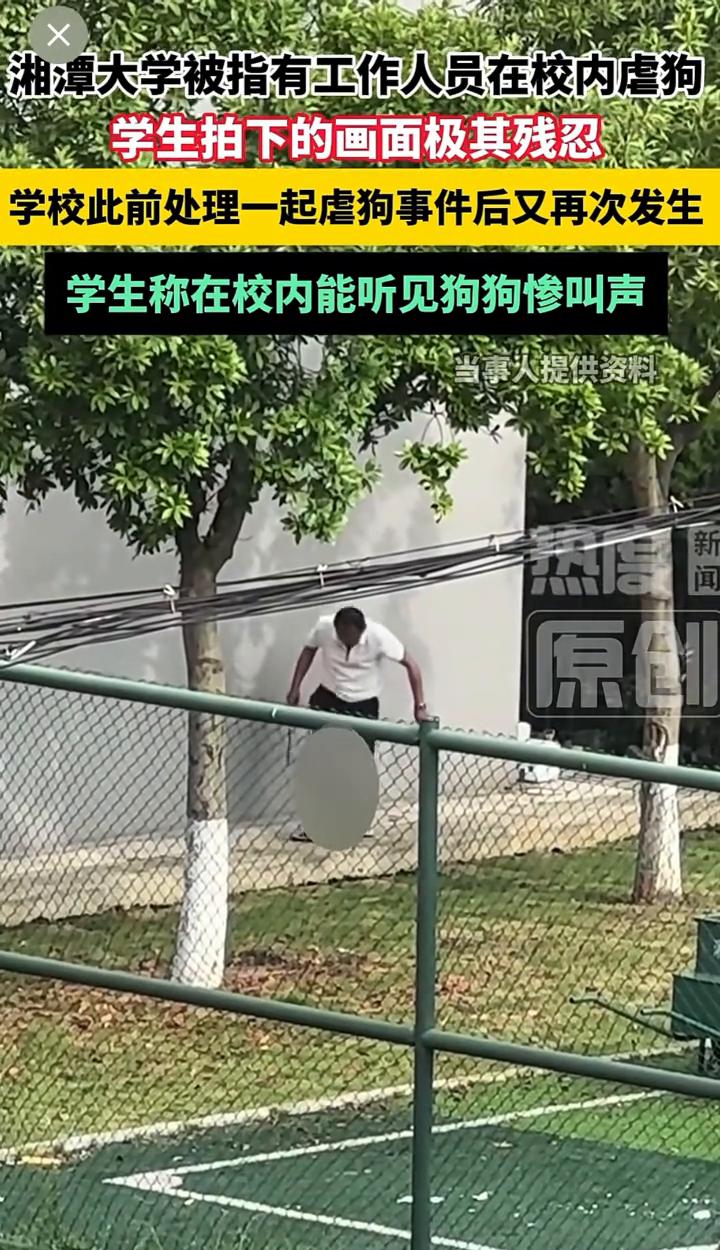 湘潭大学被指有工作人员在校内虐狗，学生拍下的画面极其残忍。
当事人提供资料。
6